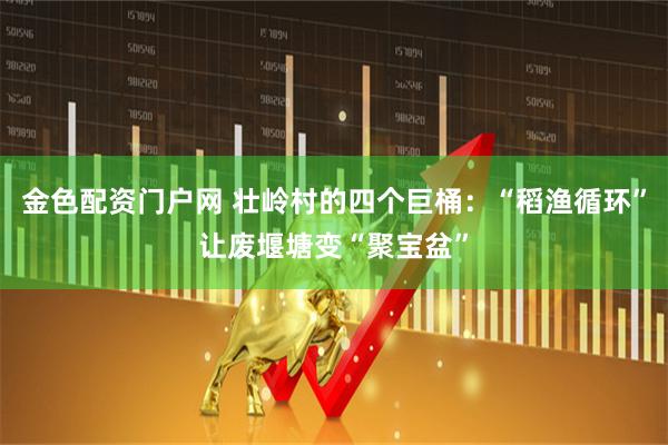 金色配资门户网 壮岭村的四个巨桶：“稻渔循环”让废堰塘变“聚宝盆”