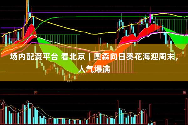 场内配资平台 看北京｜奥森向日葵花海迎周末，人气爆满
