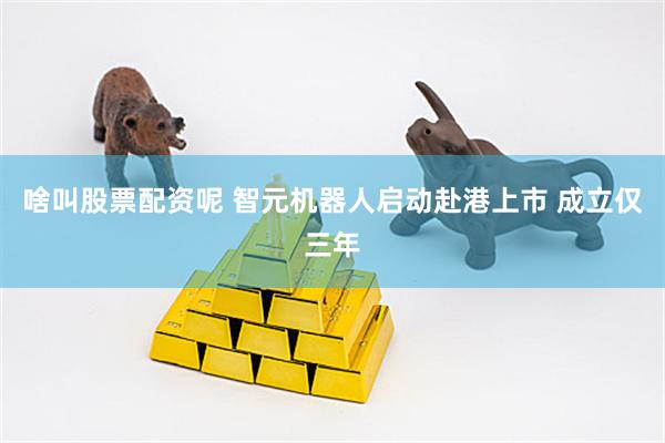啥叫股票配资呢 智元机器人启动赴港上市 成立仅三年